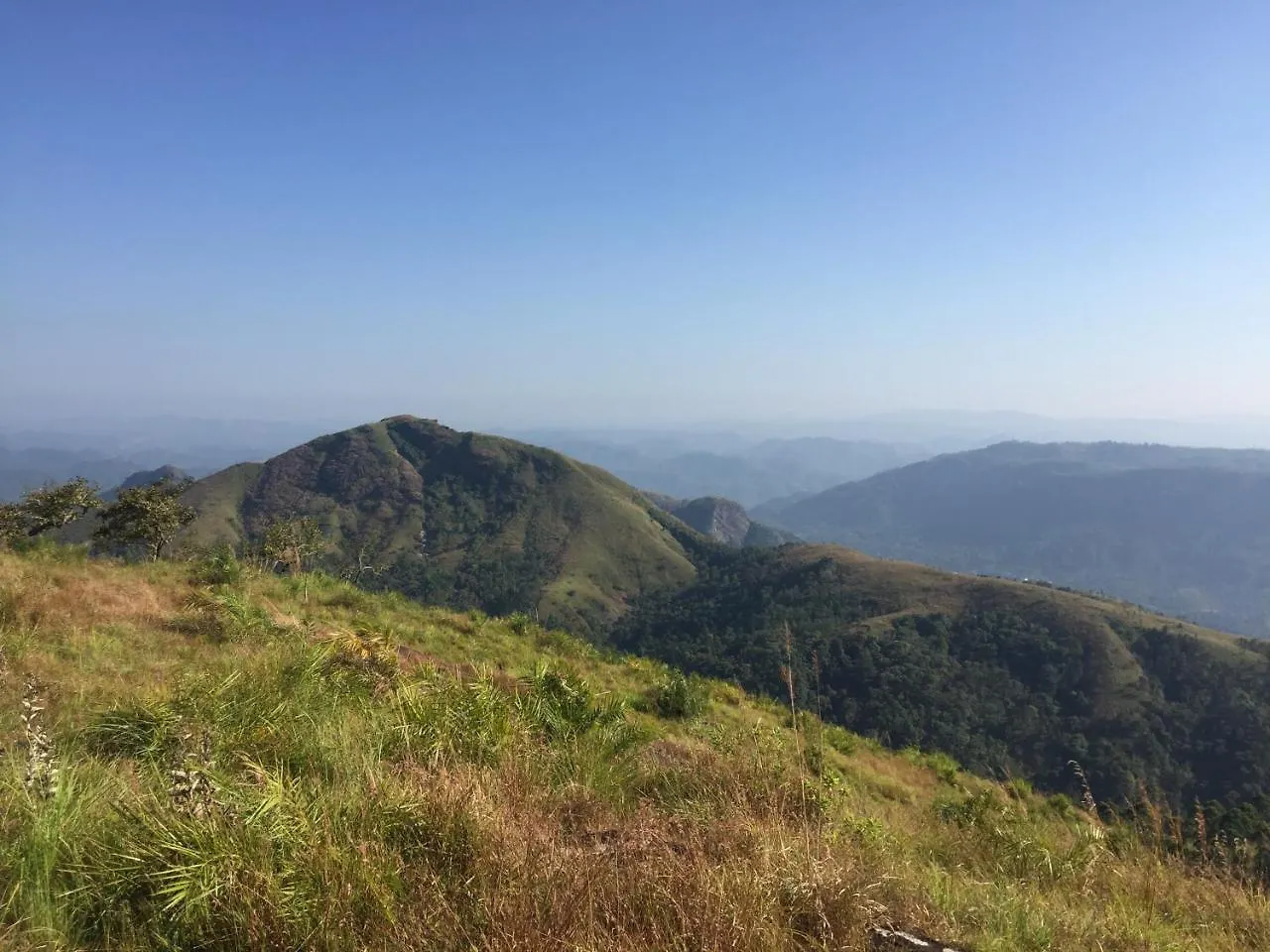 Plappalliyil Cottage Munnar
